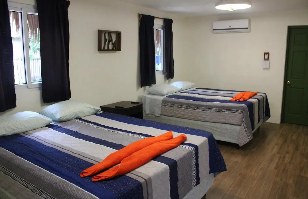 The Driftwood Surfer Beachfront Hostel / Restaurant / Bar, El Paredon-1