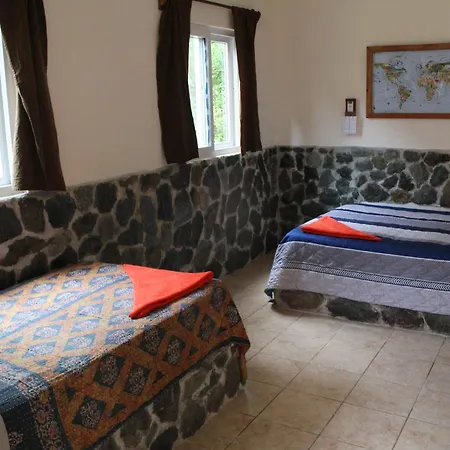 The Driftwood Surfer Beachfront Hostel / Restaurant / Bar, El Paredon-3